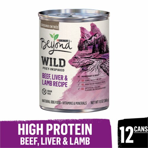 Purina beyond wild dog food online