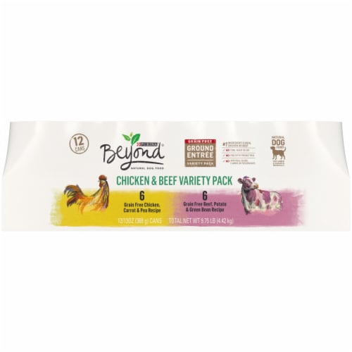 Purina Beyond Grain Free Chicken & Beef Wet Dog Food Perspective: front