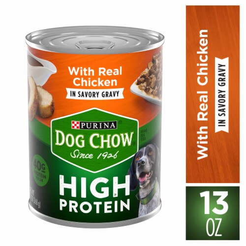 Dog Chow Real Chicken in Savory Gravy Wet Dog Food Perspective: front