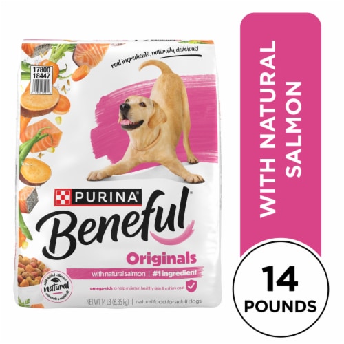 Purina Beneful Originals Natural Dry Dog Food With Natural Salmon Perspective: front