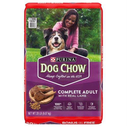Purina® Dog Chow® Complete Dog Chow with Lamb Perspective: front