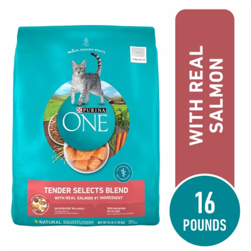 Purina ONE® Tender Selects Blend with Real Salmon Natural Dry Cat Food Perspective: front
