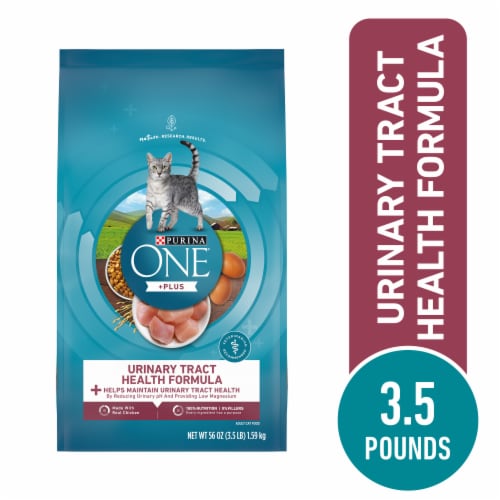 Purina ONE Urinary Tract Health Formula Dry Cat Food Perspective: front