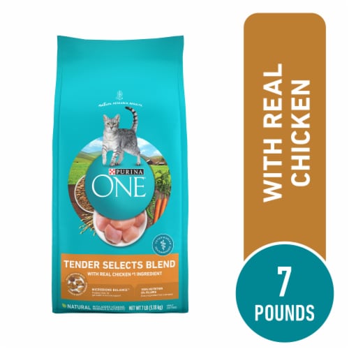 Purina ONE Tender Selects Adult Natural Dry Cat Food Real Chicken Perspective: front