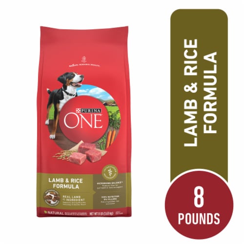 Purina ONE High Protein Adult Dry Dog Food Lamb & Rice Perspective: front