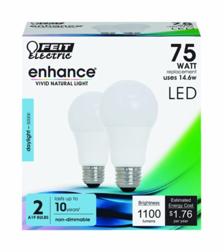 Electric bulb shop near cheap me
