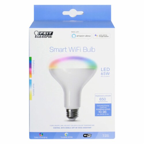Feit smart bulbs color changing discount
