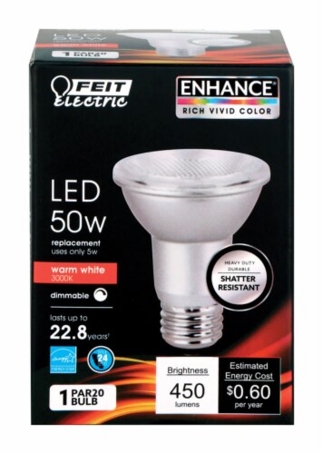 Feit Electric Par20 E26 Medium Led