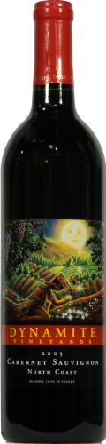 Dynamite Vineyards Cabernet Sauvignon Red Wine Perspective: front