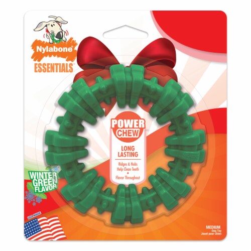 Nylabone Essentials Power Chew Winter Green Flavor Dog Toy 1 ct