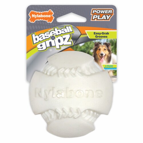 Nylabone Power Play Crazy Ball Dog Toy, Large