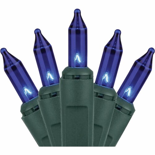 J Hofert Blue 100-Bulb Mini Incandescent String Light Set with Green Wire Perspective: front