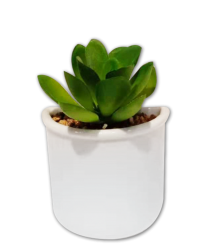 IG Design Mini Faux Succulent Magnet Perspective: front