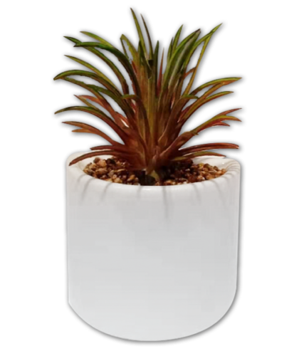 IG Design Mini Spiky Succulent Magnet Perspective: front