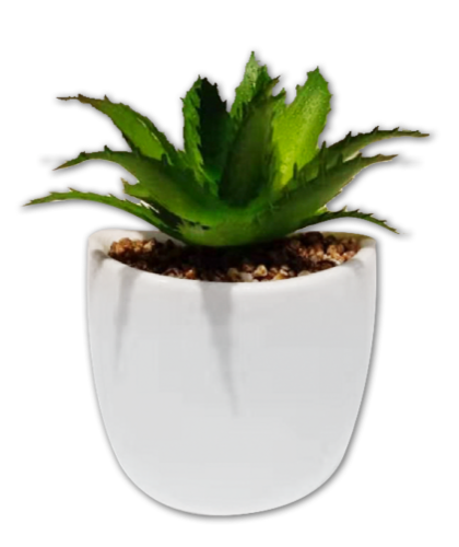 IG Design Mini Sharp Succulent Magnet Perspective: front