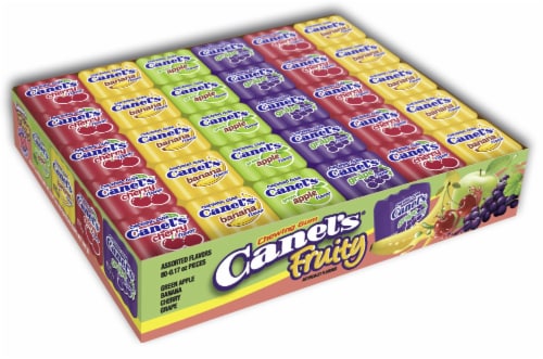 Canel's Fruity Kids Chewing Gum Perspective: front