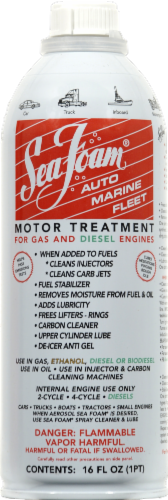 SeaFoam® Motor Treatment Perspective: front