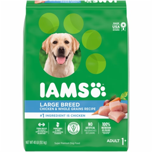 IAMS High Protein Adult Large Breed Chicken Dry Dog Food Perspective: front