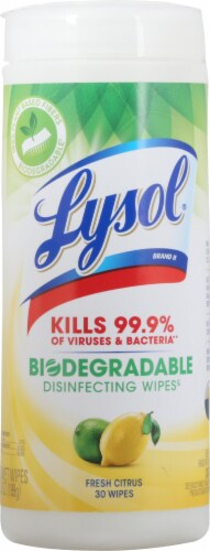 Lysol Plant-Based Fresh Citrus Scent Disinfecting Wipes Perspective: front