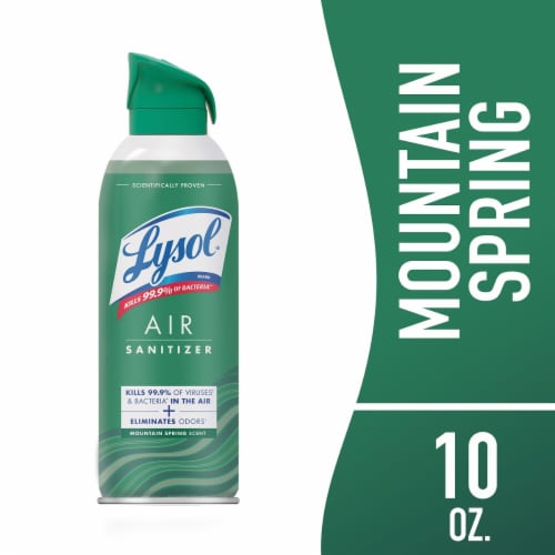 Lysol® Rainwashed Bamboo Scent Air Sanitizer Perspective: front