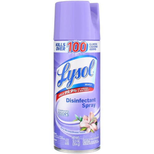 Lysol® Early Morning Breeze™ Disinfectant Spray Perspective: front