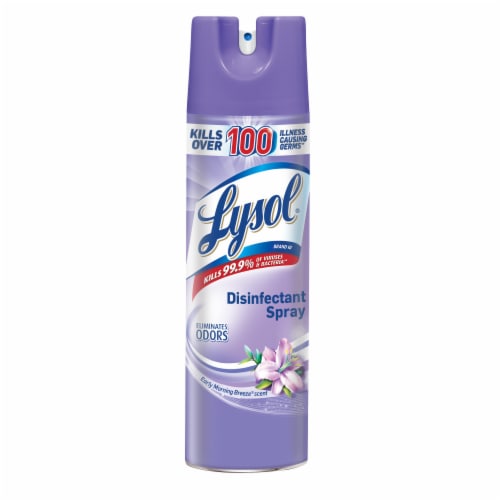 Lysol® Early Morning Breeze Scent Disinfectant Spray Perspective: front