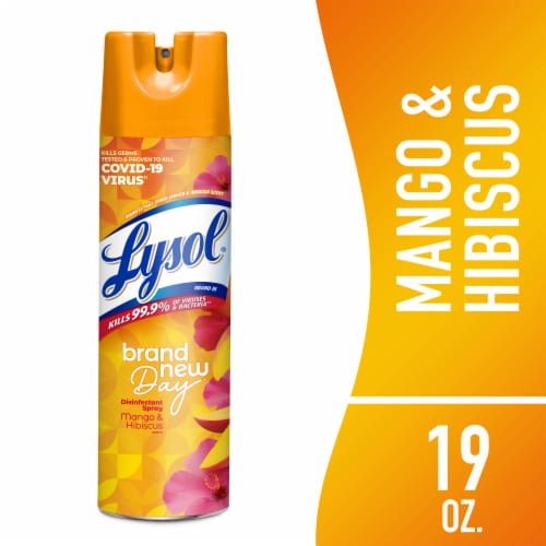 Lysol Disinfectant Spray, Sanitizing Antibacterial Spray, Mango and Hibiscus, 19 oz Perspective: front