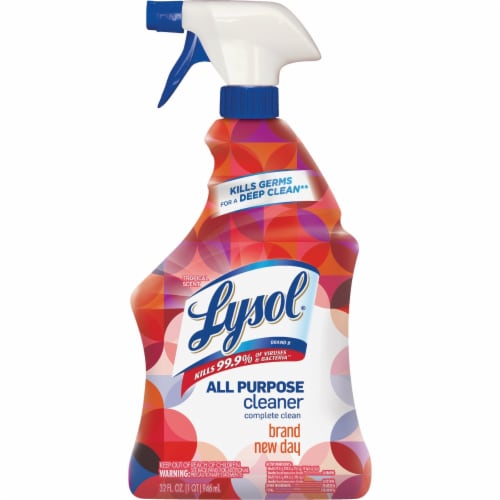 Lysol® Brand New Day All Purpose Cleaner Spray