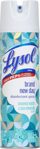 Lysol Brand New Day Coconut Water and Sea Minerals Disinfectant Spray Perspective: front