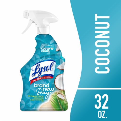 Lysol® Brand New Day™ Coconut & Sea Minerals All Purpose Cleaner Perspective: front
