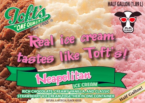Toft's® Neapolitan Ice Cream Tub Perspective: front
