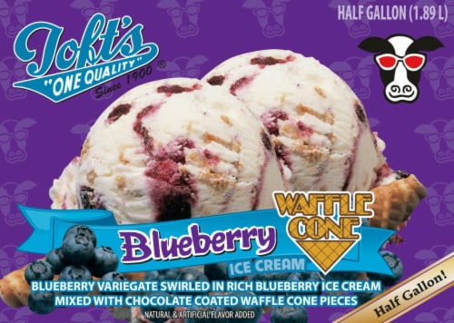 Toft's One Quality Blueberry Waffle Cone Ice Cram Perspective: front