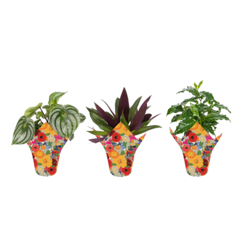 Foliage in Pot Cover Perspective: front