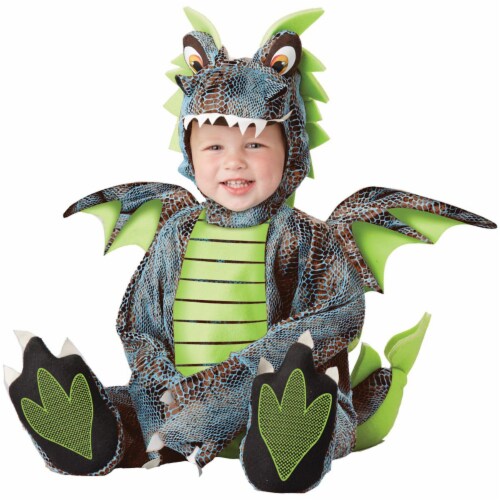 Morris Costumes CC10024TM Darling Dragon Toddler Costume, 18-24 Months Perspective: front