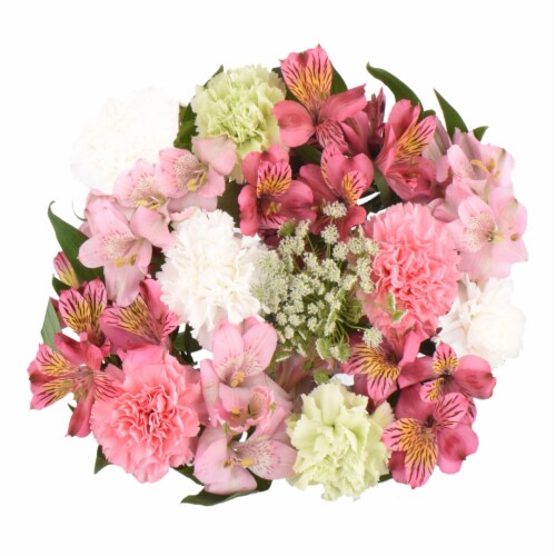 Alstro Carnations Bunch Blossoms Perspective: front
