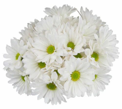 Premium Poms - White / Green, 6-stem