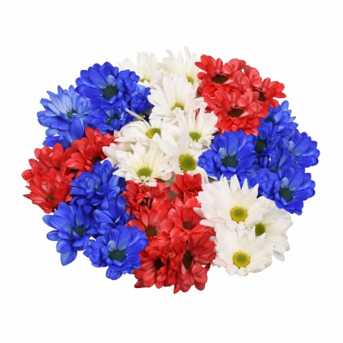 Sunshine Crazy Daisy Patriotic Bouquet Perspective: front
