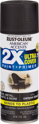 Rust-Oleum American Accents 2X Ultra Cover Satin Spray Paint - Canyon Black Perspective: front