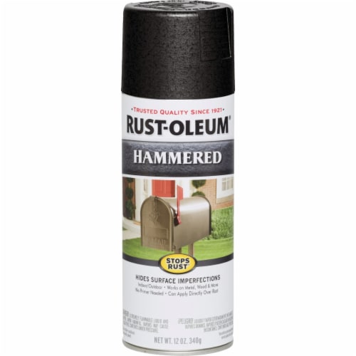 Rust-Oleum Stops Rust 12 oz. Textured Metallic Silver Protective