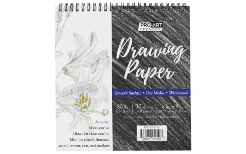 Pro Art Premier Drawing Paper Pad, 1 ct - Ralphs