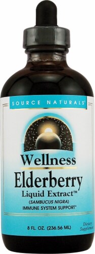 Source Naturals  Wellness Elderberry Liquid Extract™ Perspective: front