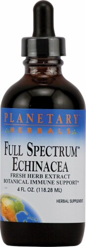 Planetary Herbals Full Spectrum™ Echinacea Herbal Supplement Perspective: front