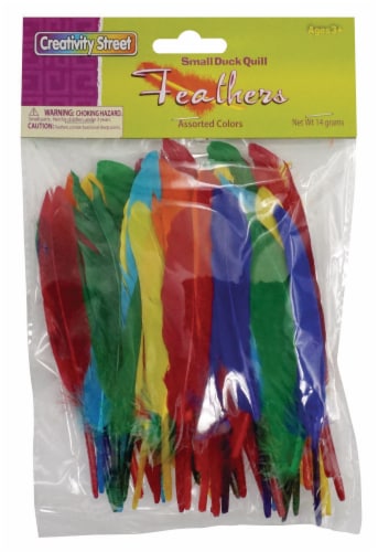 Creativity Street® Duck Quills - Assorted Perspective: front
