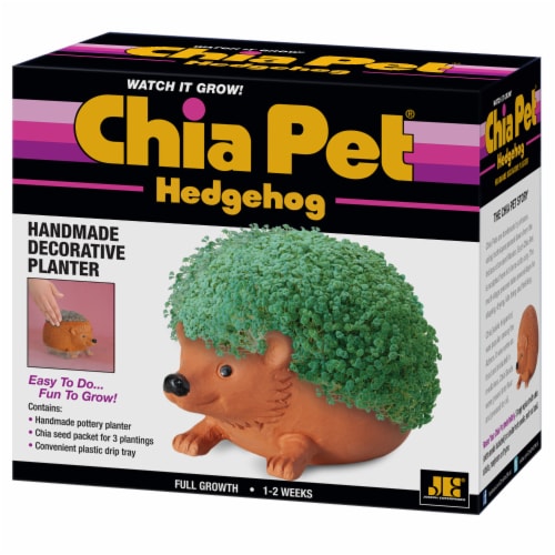 Chia Pet Hedgehog Handmade Decorative Planter Perspective: front