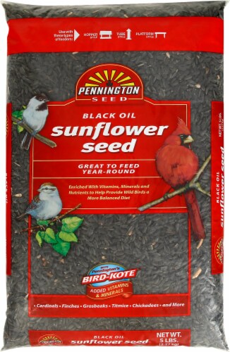 Pennington Seed Black Oil Sunflower Seed Perspective: front