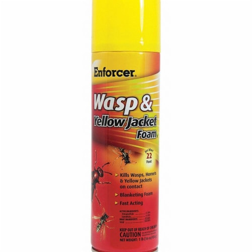 Enforcer Foam Insect Killer 16 oz