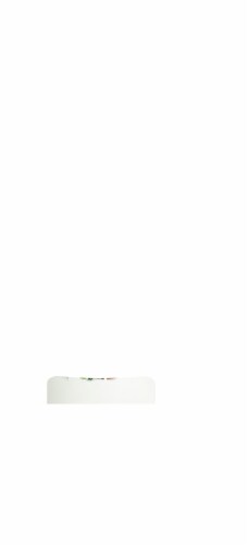 Rainbow Light Men's One Multivitamin Tablets Perspective: front