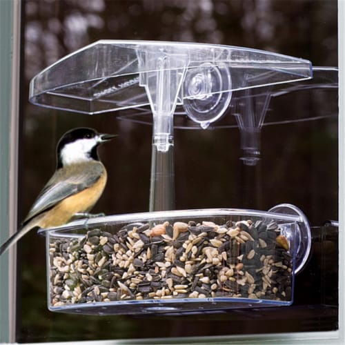 Droll Yankees Observer Window Feeder Perspective: front