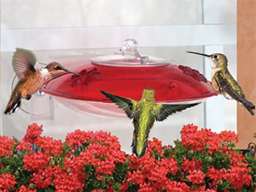 Droll Yankees Inc Hummingbird Window Hummer Perspective: front