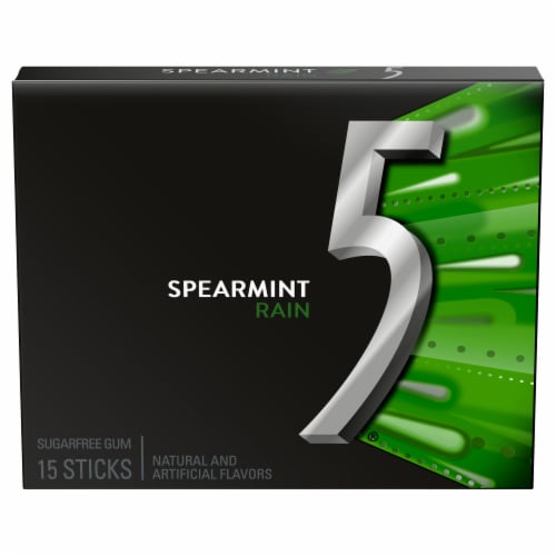 5 GUM Spearmint Rain Sugar Free Chewing Gum Five Gum Perspective: front